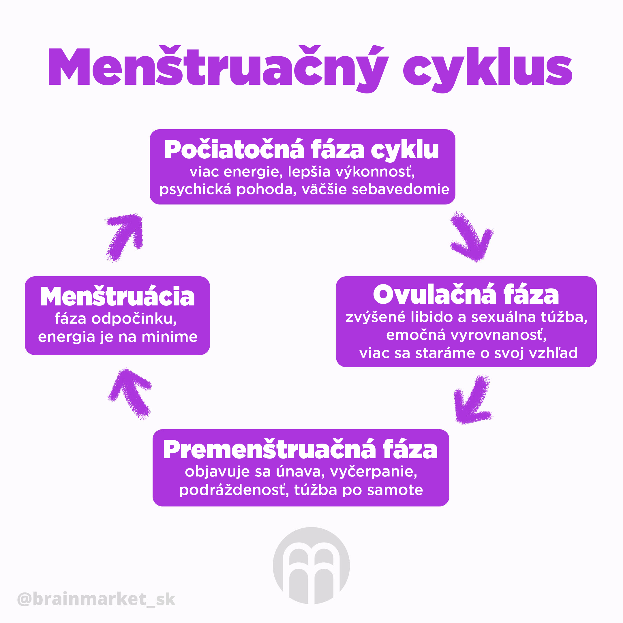 menstruacni_cyklus_infografika_brainmarket_CZ_1